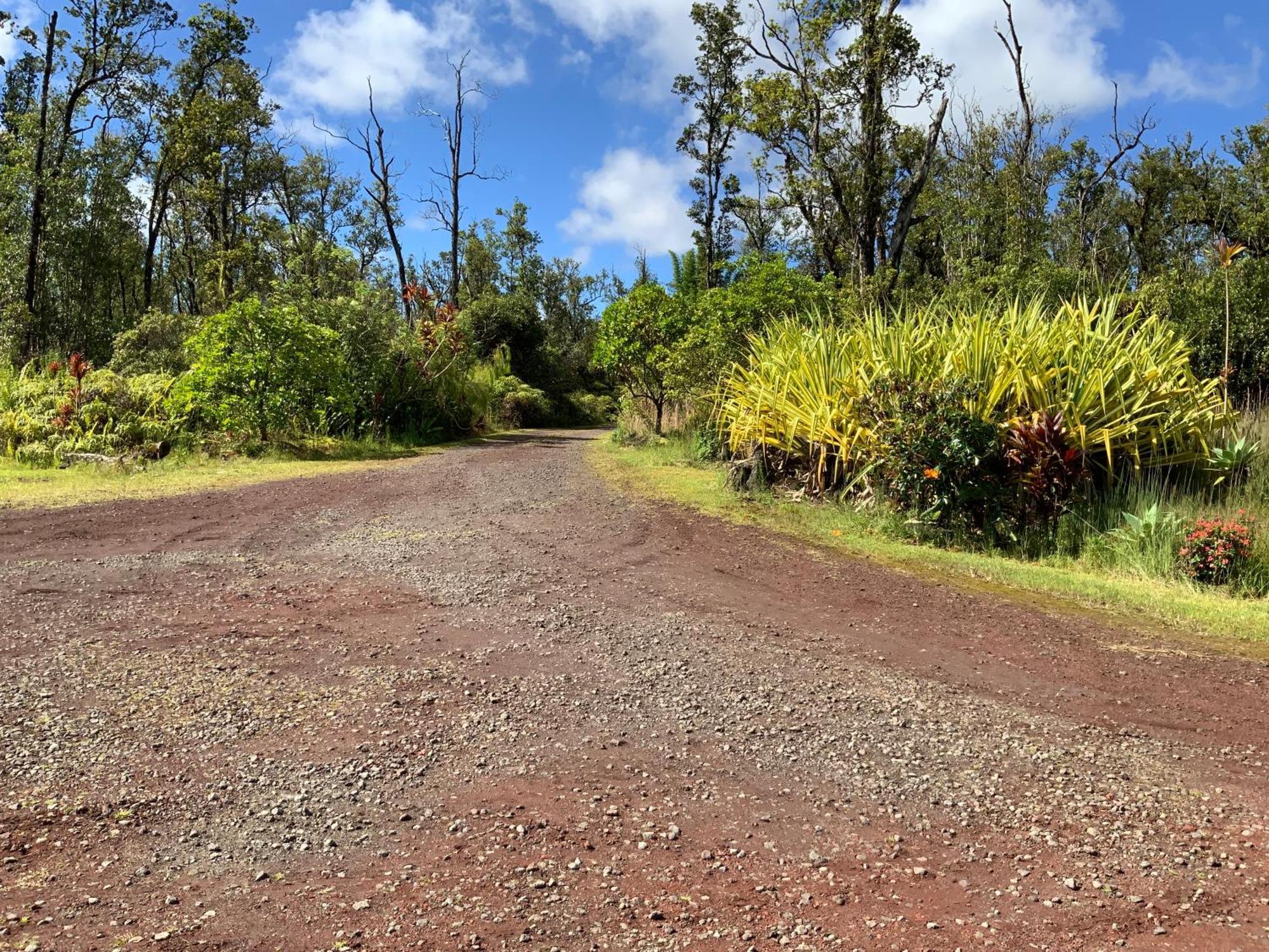 Simply Convenient Tropical Country Studio 芒廷维尤 外观 照片