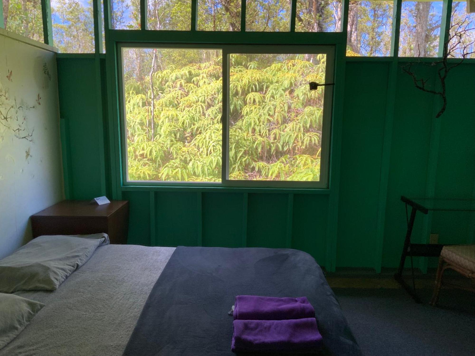 Simply Convenient Tropical Country Studio 芒廷维尤 外观 照片